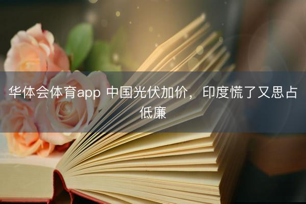 华体会体育app 中国光伏加价,印度慌了又思占低廉